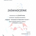 Powiększ obraz: certificate 11