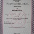 Powiększ obraz: certificate 3