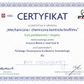 Powiększ obraz: certificate 9