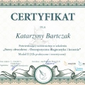 Powiększ obraz: certificate 12