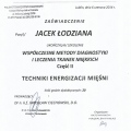 Powiększ obraz: certificate 20
