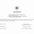 Powiększ obraz: certificate 6