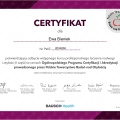 Powiększ obraz: certificate 2