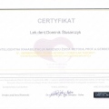 Powiększ obraz: certificate 4