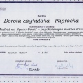 Powiększ obraz: certificate 4