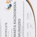 Powiększ obraz: certificate 5