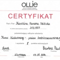Powiększ obraz: certificate 20
