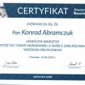 Powiększ obraz: certificate 17