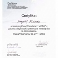 Powiększ obraz: certificate 16