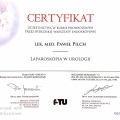 Powiększ obraz: certificate 49