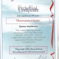 Powiększ obraz: certificate 5