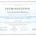Powiększ obraz: certificate 4
