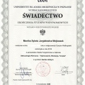 Powiększ obraz: certificate 1