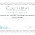 Powiększ obraz: certificate 48