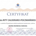 Powiększ obraz: certificate 9