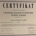 Powiększ obraz: certificate 5