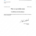 Powiększ obraz: certificate 3
