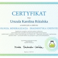 Powiększ obraz: certificate 25