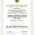 Powiększ obraz: certificate 6