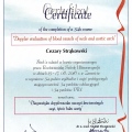 Powiększ obraz: certificate 4