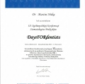 Powiększ obraz: certificate 8