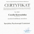 Powiększ obraz: certificate 4