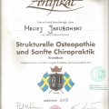 Powiększ obraz: certificate 8