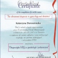 Powiększ obraz: certificate 2