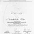 Powiększ obraz: certificate 21
