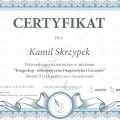 Powiększ obraz: certificate 16