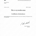 Powiększ obraz: certificate 9
