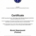 Powiększ obraz: certificate 13