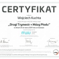 Powiększ obraz: certificate 13