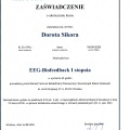 Powiększ obraz: certificate 3