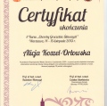 Powiększ obraz: certificate 10