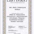 Powiększ obraz: certificate 4