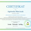 Powiększ obraz: certificate 3