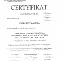 Powiększ obraz: certificate 22