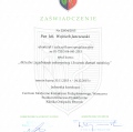 Powiększ obraz: certificate 6