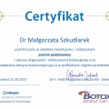 Powiększ obraz: certificate 2