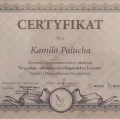 Powiększ obraz: certificate 2