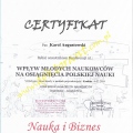 Powiększ obraz: certificate 9