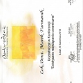 Powiększ obraz: certificate 8