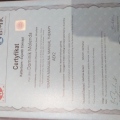 Powiększ obraz: certificate 5
