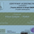Powiększ obraz: certificate 2