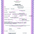 Powiększ obraz: certificate 5