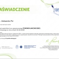 Powiększ obraz: certificate 15
