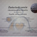 Powiększ obraz: certificate 9