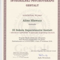 Powiększ obraz: certificate 1