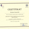 Powiększ obraz: certificate 20